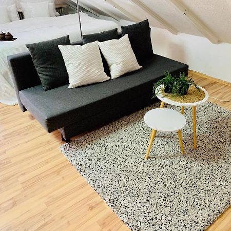 Studio Apartment In Direkter Naehe Zur Uniklinik Homburg Hombourg Extérieur photo