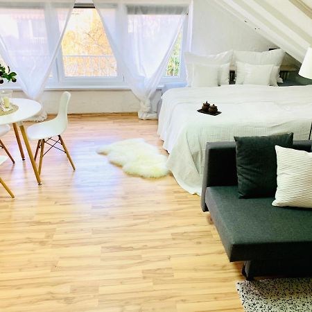 Studio Apartment In Direkter Naehe Zur Uniklinik Homburg Hombourg Extérieur photo