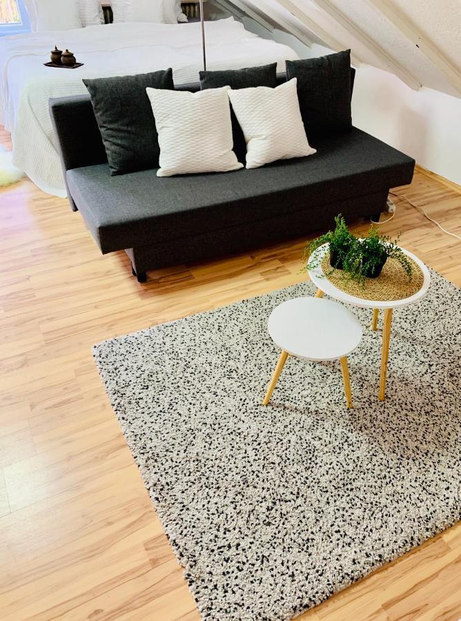 Studio Apartment In Direkter Naehe Zur Uniklinik Homburg Hombourg Extérieur photo